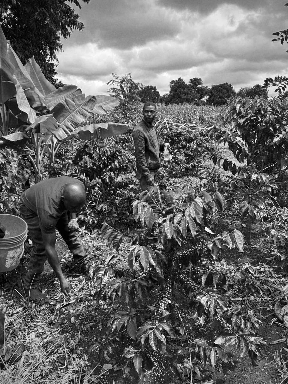 Hannah, Brand Manager